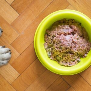 Hundefoder til forskellige livsfaser: Hvad skal du kigge efter når du vælger foder til hvalpe, voksne og ældre hunde?